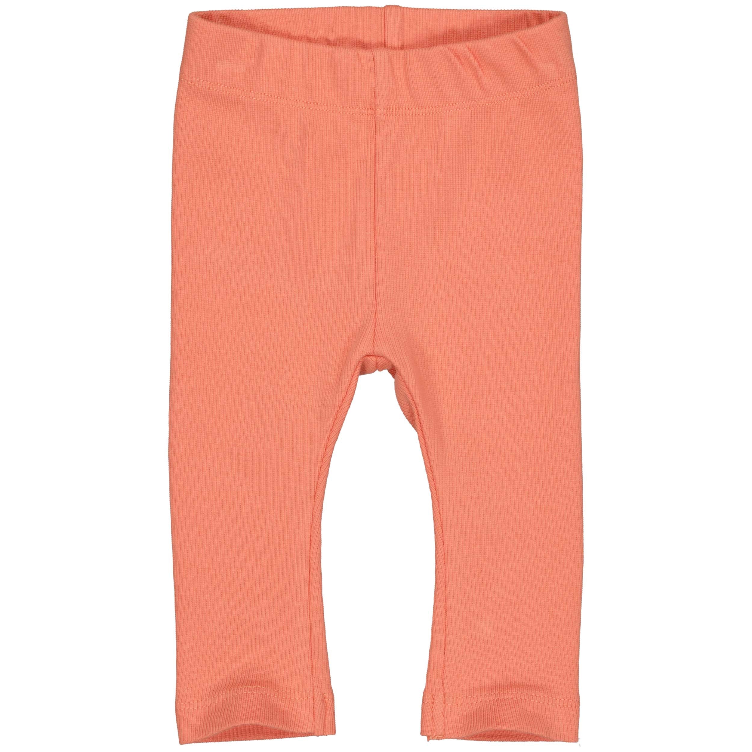 LEGGING | Coral