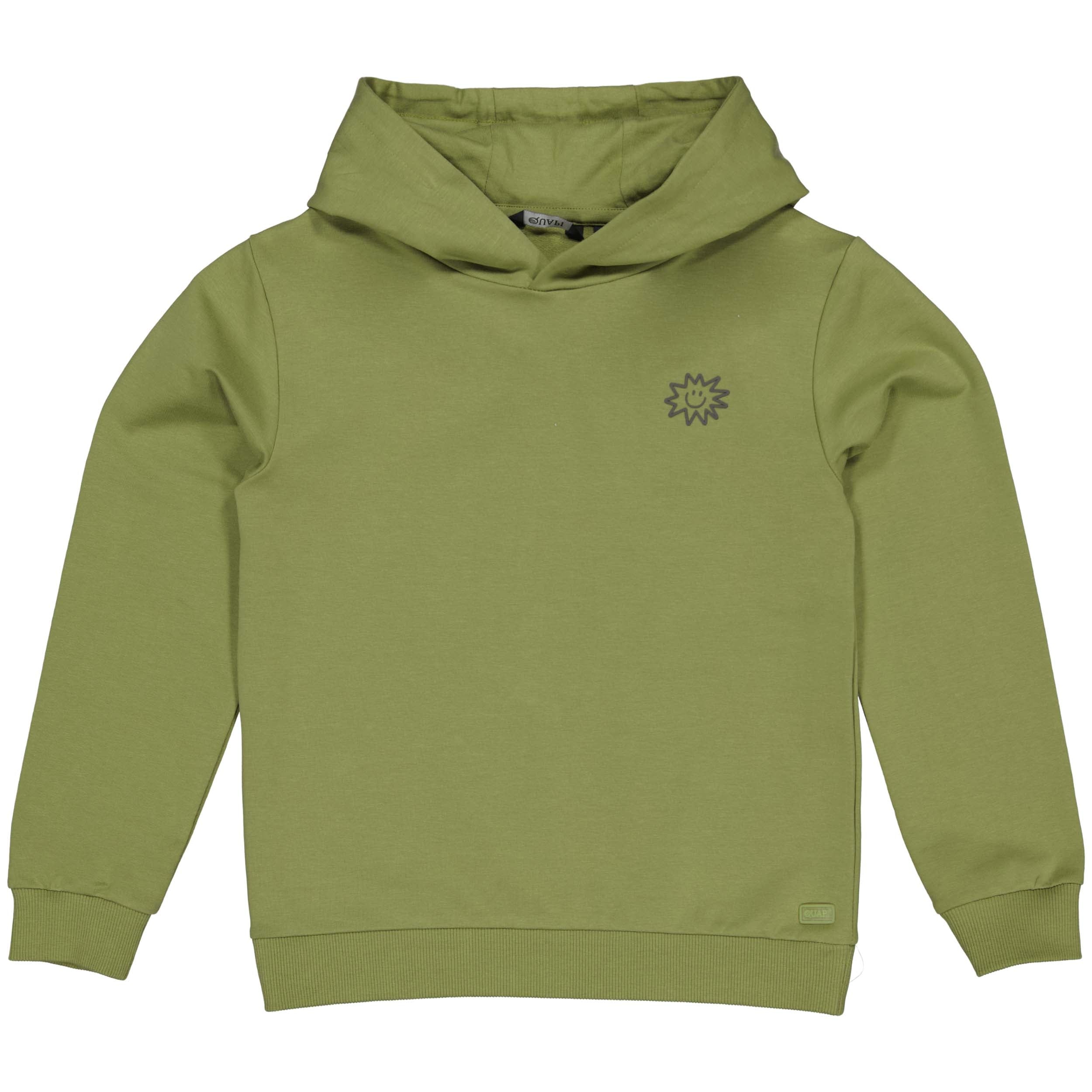 Pullover Grüne | Dark Olive