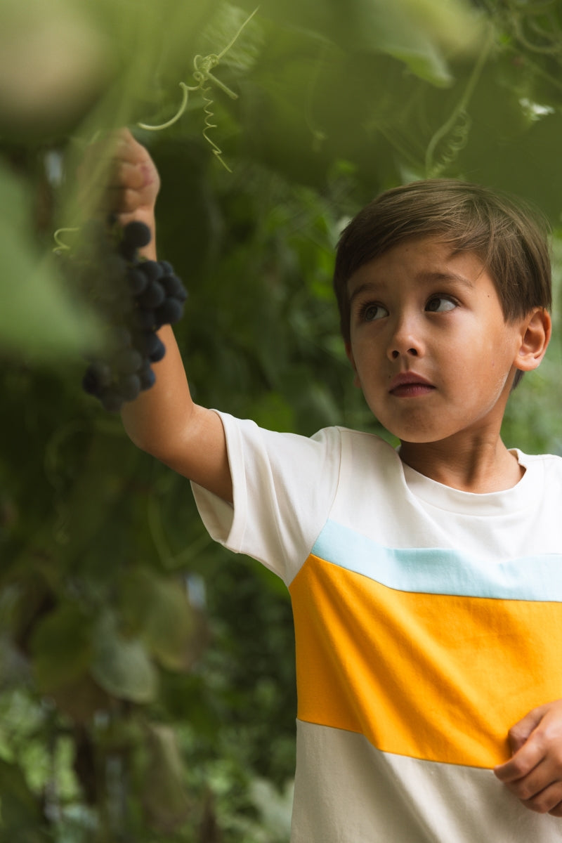 Shirt Wit | Ivory White