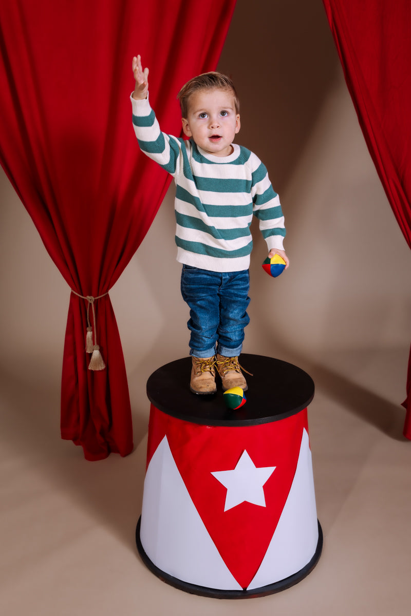 Pullover gestreept | AOP Green Stripe