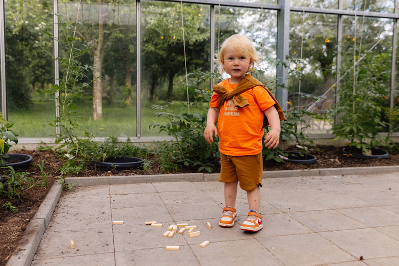 Shortsleeve | Orange