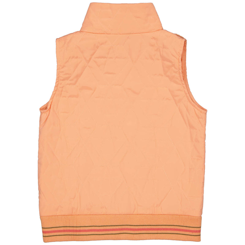 Bodywarmer | Salmon