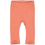 LEGGING | Coral