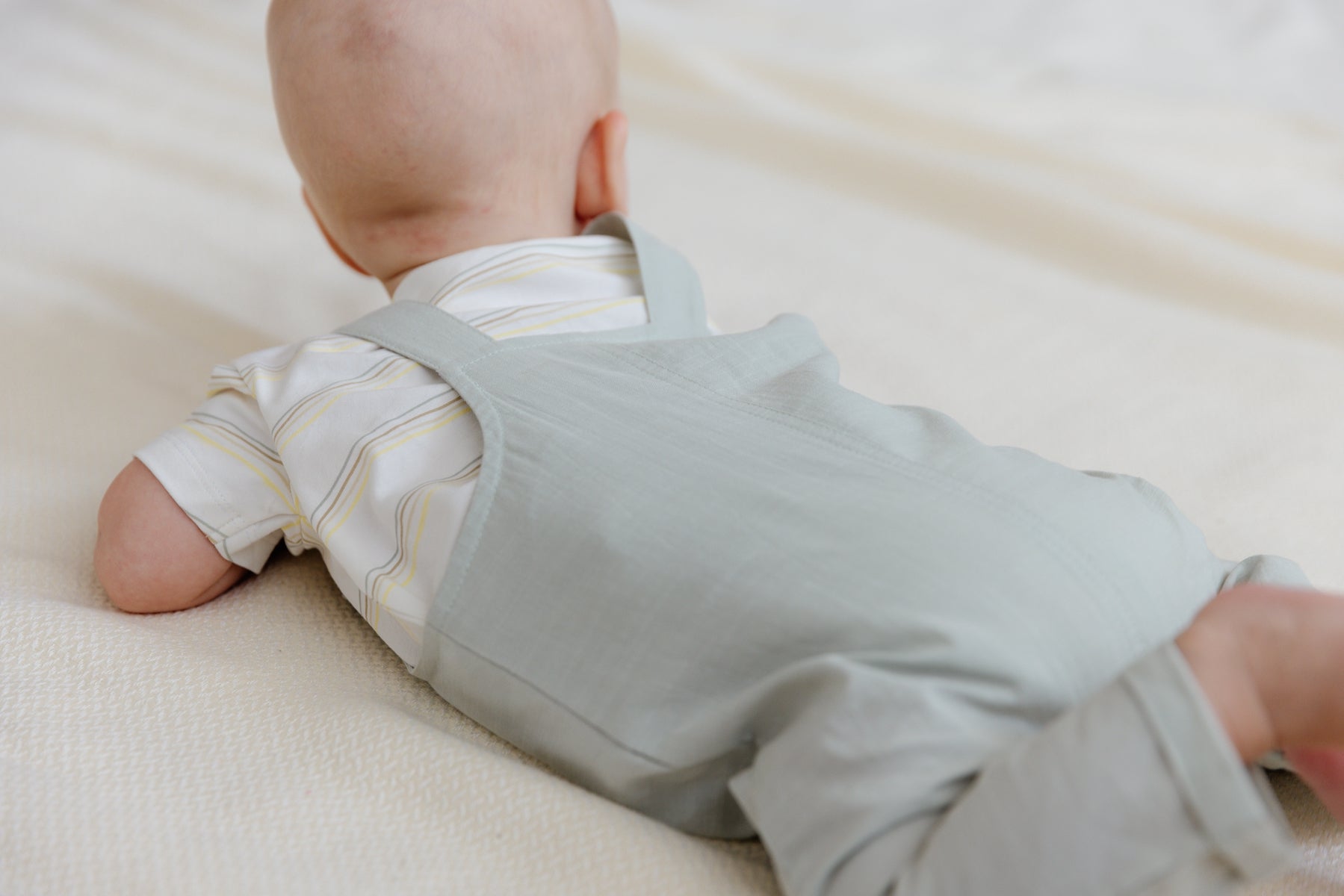 SHORTSLEEVE | AOP Multi Stripe