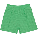 SHORTS | Dark Green