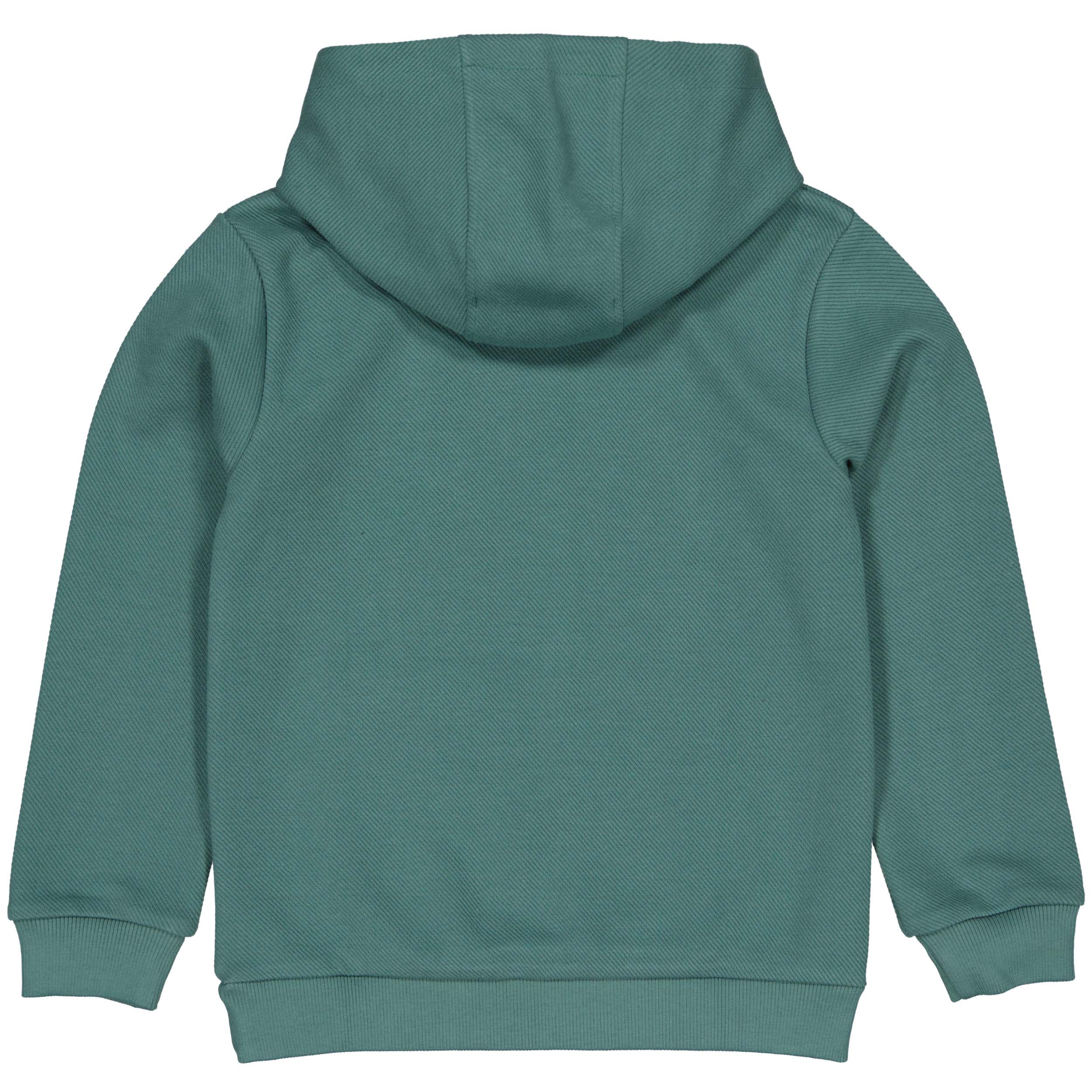 Hooded sweater groen | Green