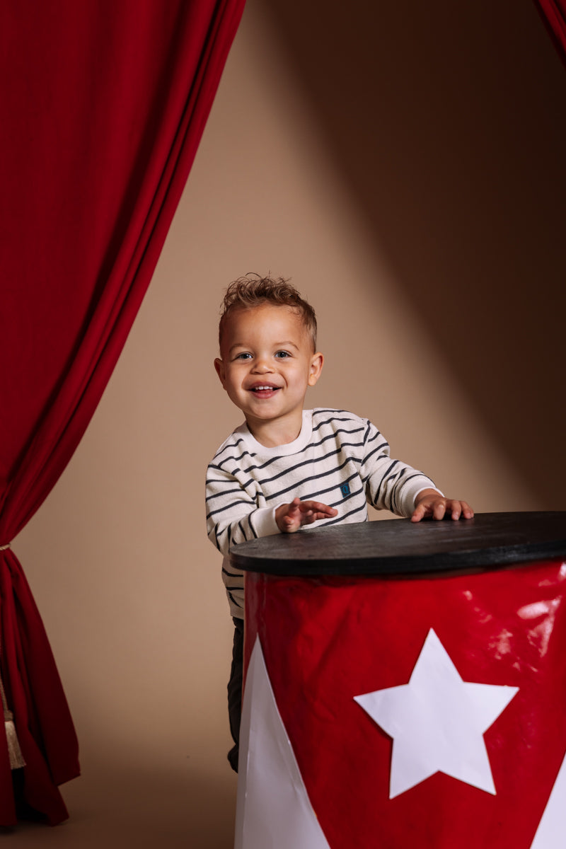 Pullover gestreept | AOP Grey Stripe