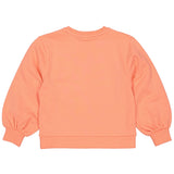 SWEATER | Coral